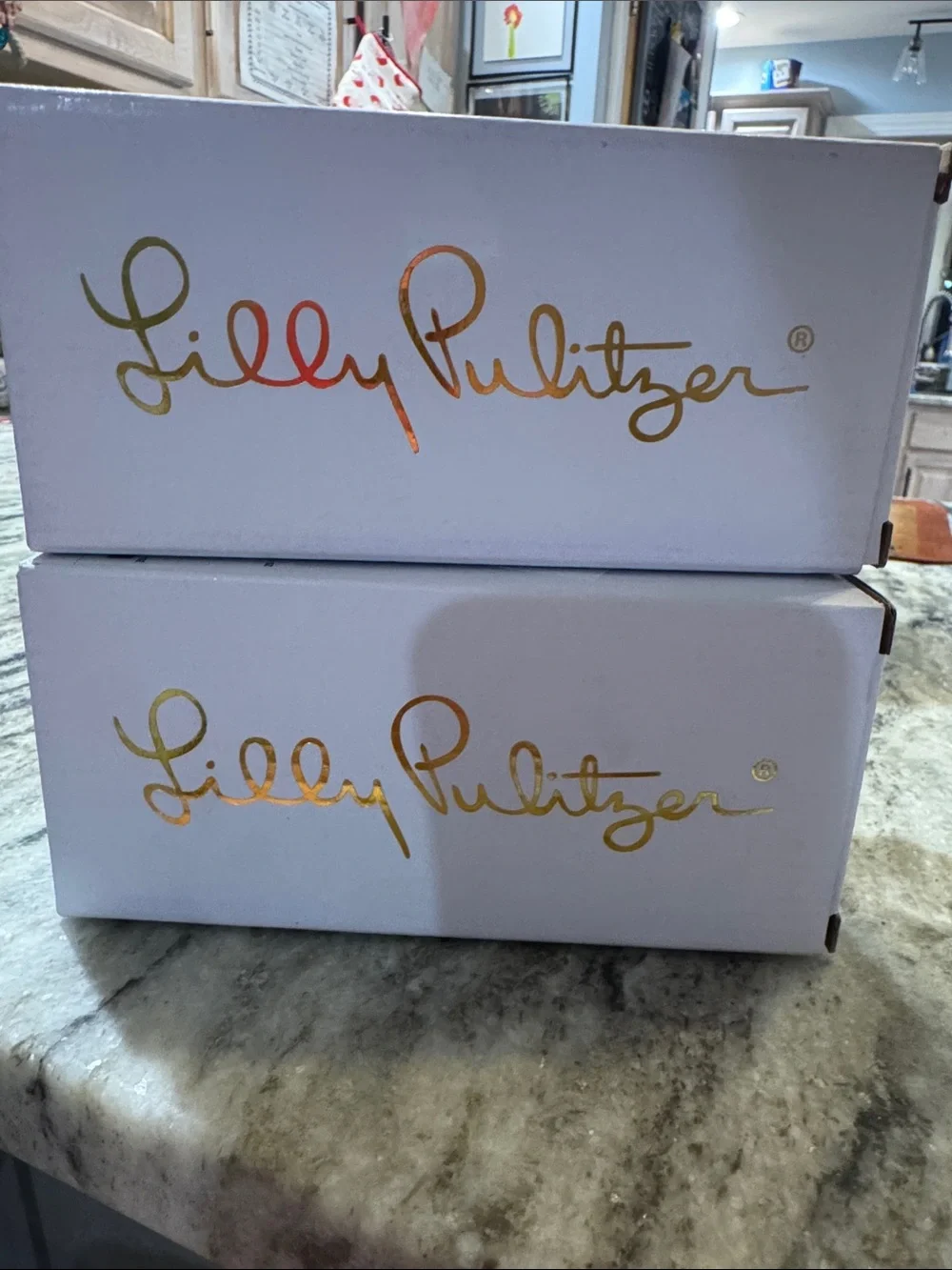 Lilly Pulitzer Set of two Party like a Lobstar slim insulated drink ware cups